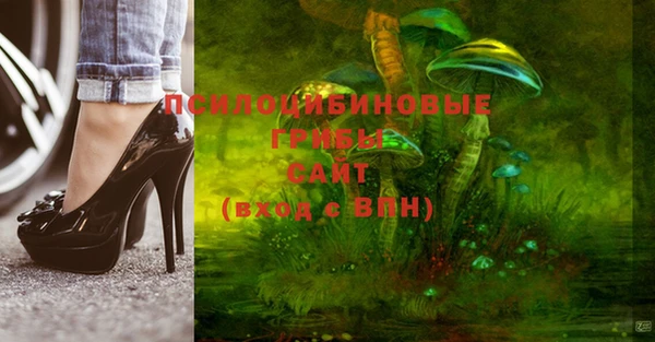 ГАЛЛЮЦИНОГЕННЫЕ ГРИБЫ Баксан