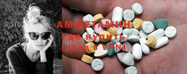 сатива Новодвинск