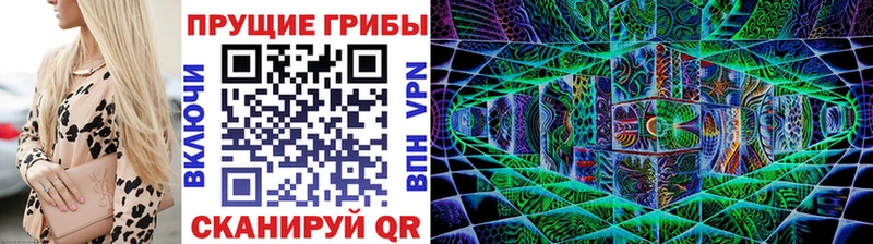 Галлюциногенные грибы Psilocybe мориарти формула Пошехонье